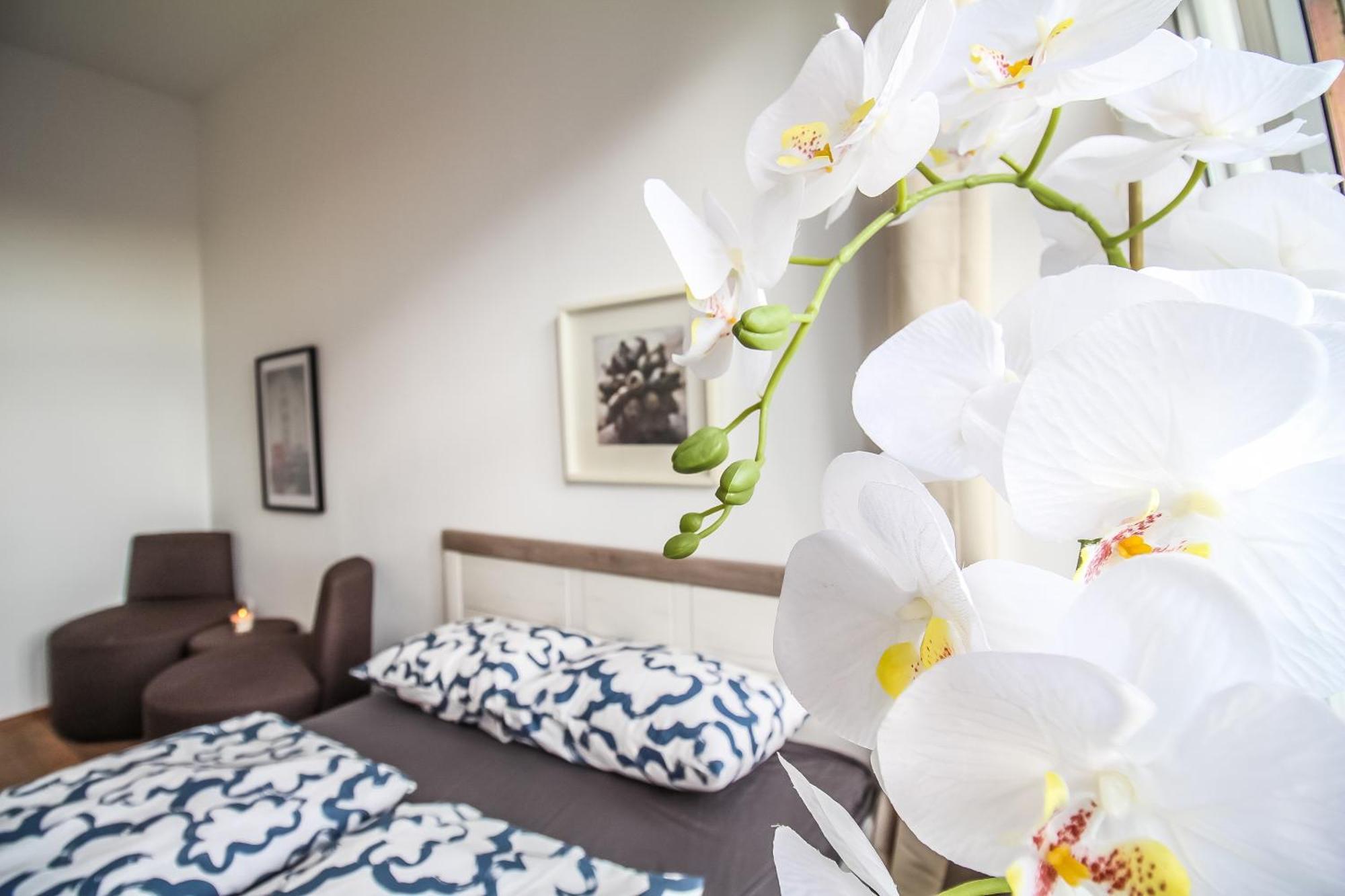 Disc Cozy Rooms In Liesing เวียนนา ภายนอก รูปภาพ